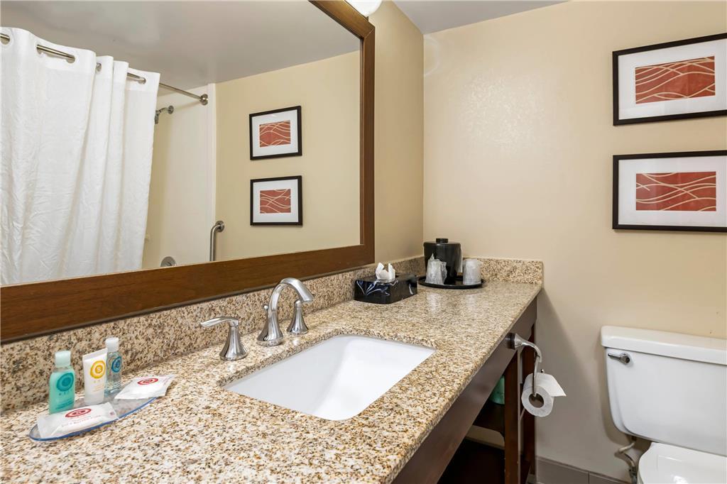 Comfort Inn Msp Airport - Mall Of America Блумингтън Стая снимка